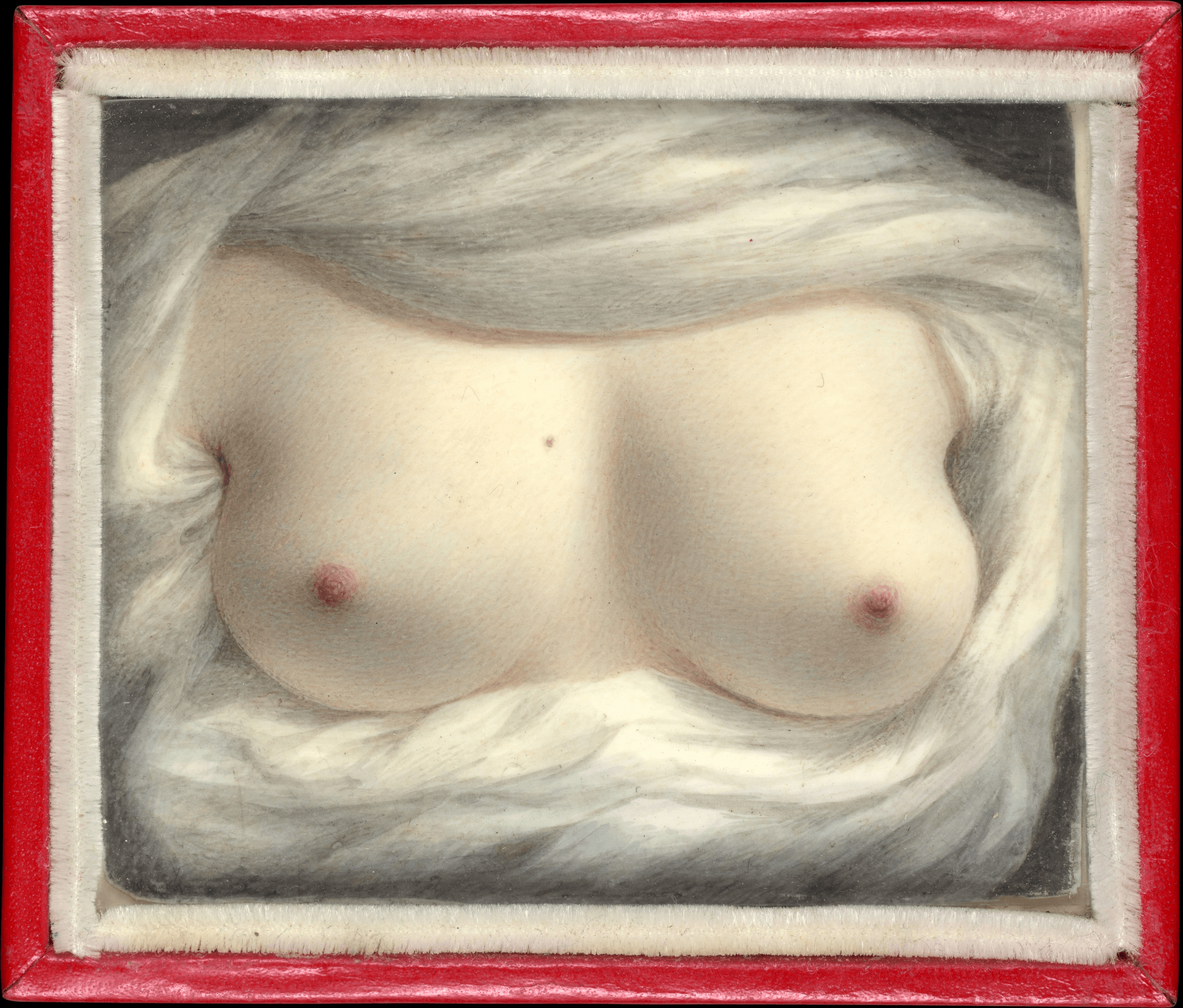 The Beauty Show, 2018